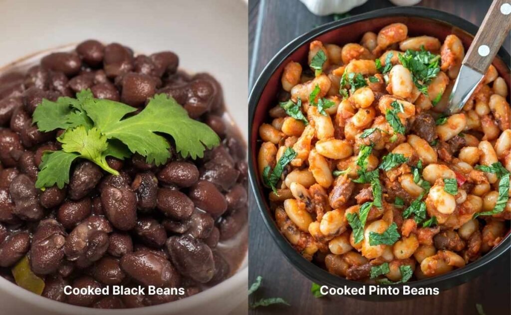 Cooked black beans and pinto beans side-by-side highlighting texture and color after cooking Cooked black beans and pinto beans side-by-side highlighting texture and color after cooking.