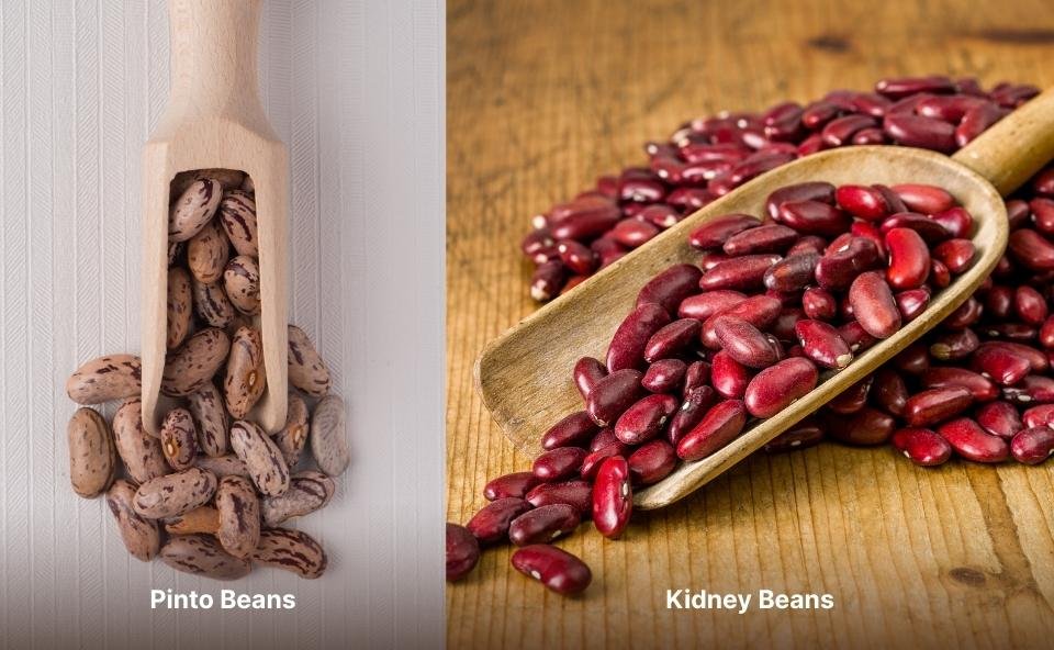 kidney vs pinto beans comparison