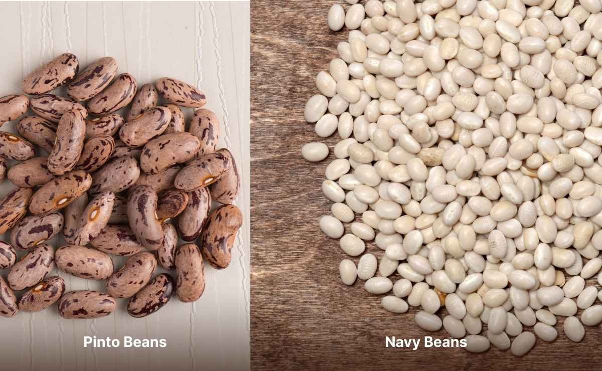 Pinto Beans vs Navy Beans: Which One Wins?